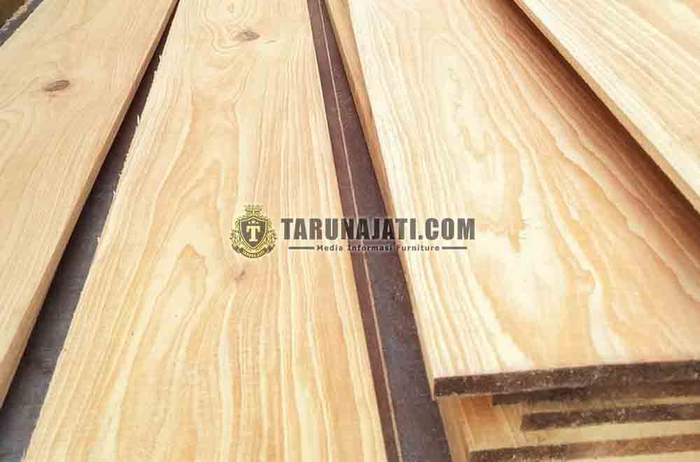 Papan Kayu Pinus